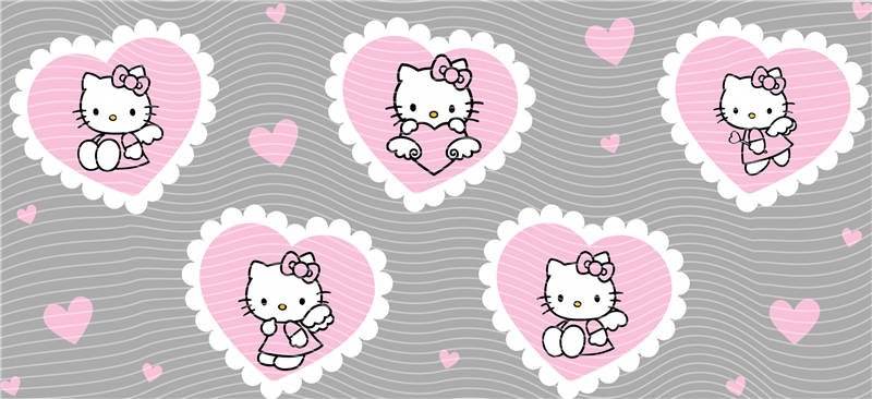 16oz Sanrio-K 243